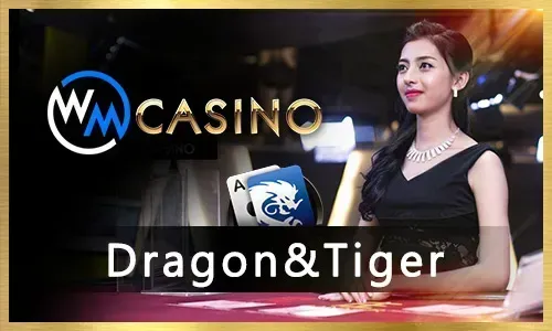 Sports Betting at Taya365